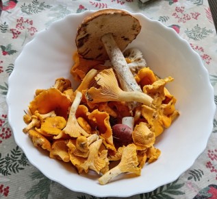 ������ ������ � �������: ��� ����������� ��������� ����� �� ����