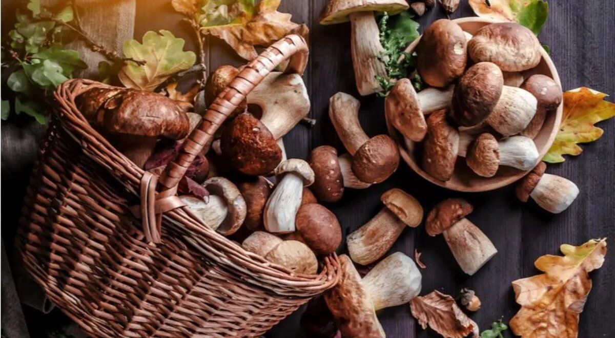 ����� �� ����� �����: ��� ��� �������� ��������� ��������