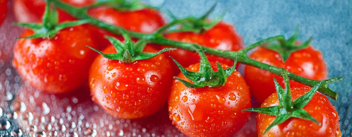 ��������� ������� �������: ��� ��������� ������ � ������ �������