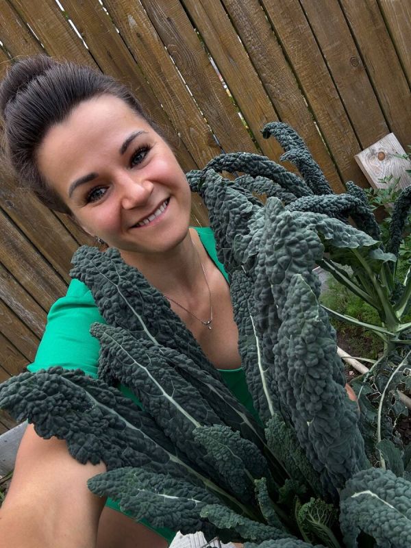 ������ ��������� ���������� ��� ������������ ��������� � �������� ��������