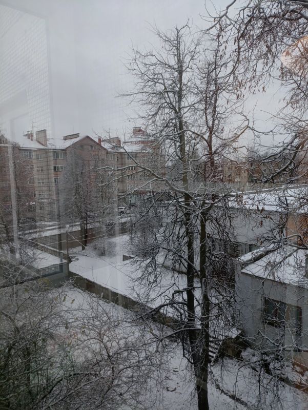 ��� �������� ���������: ���� 12 � ���� � �������� ������������