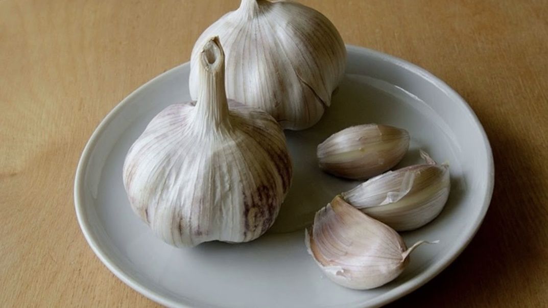 ��� ���������� �������� ����� �������� ��������� ������ ����� 55 ���