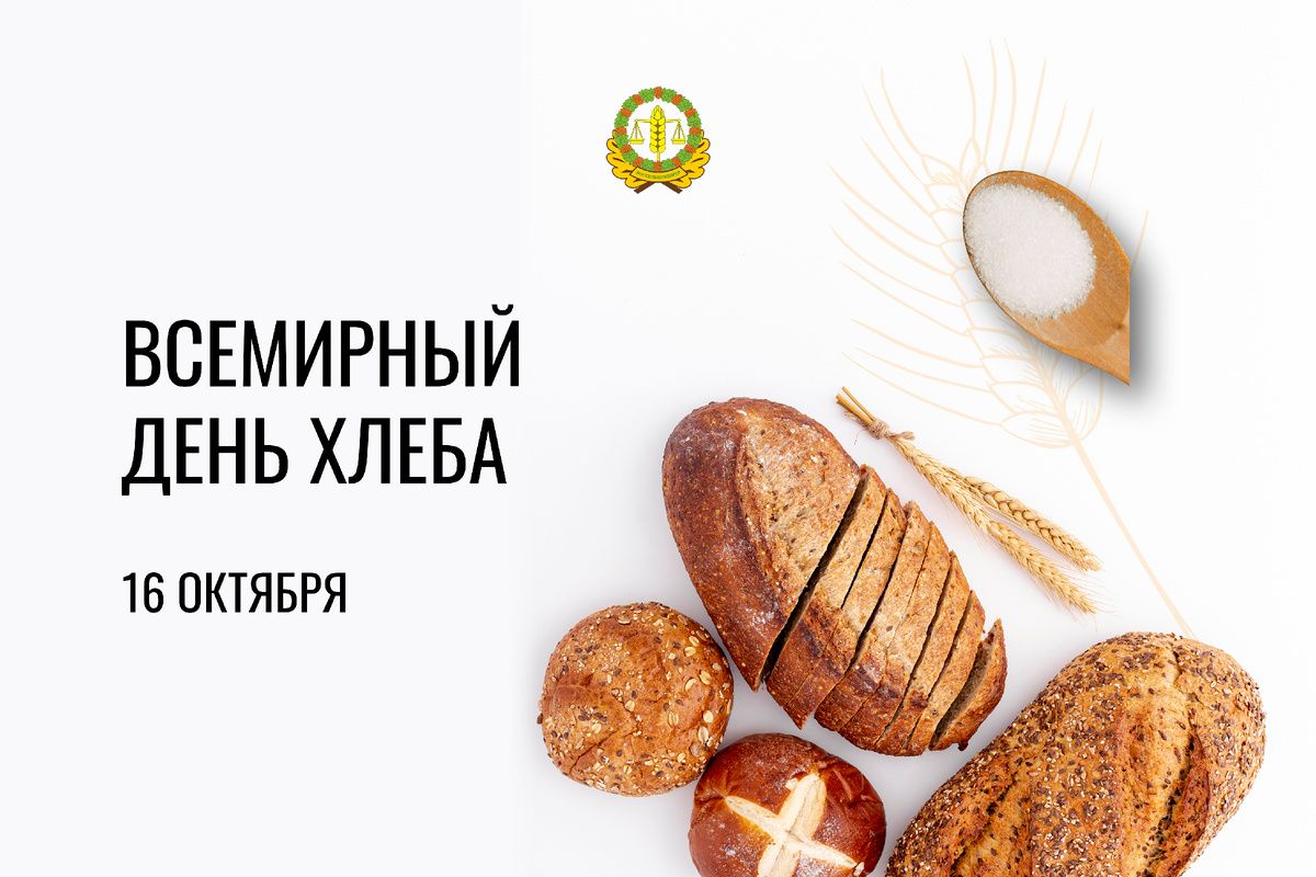 ��� �������� ���� �����: �������� � ���������� �����������