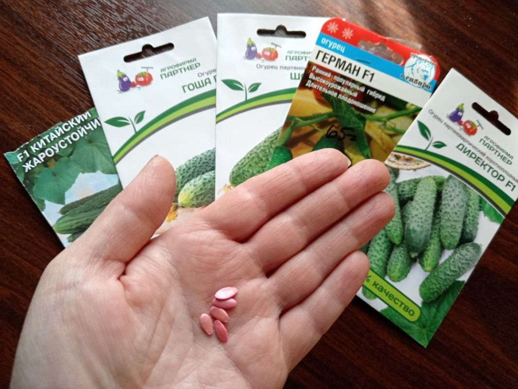 ������� ��������� ������: ��� ��������� ��������� ������� �������