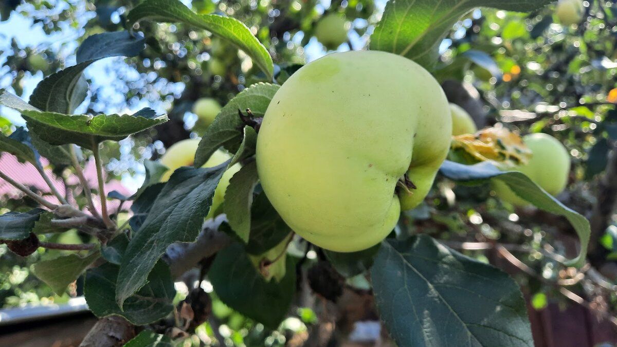 ��������� ������� � ����: ��� �������� ������ �� ��������