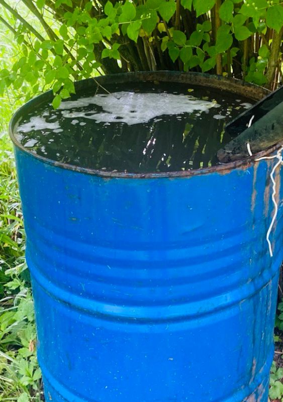 �������� ����: �������� ���� ��� ������ ������