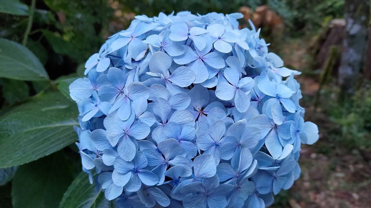 ��������� ������: ������� �������� �������