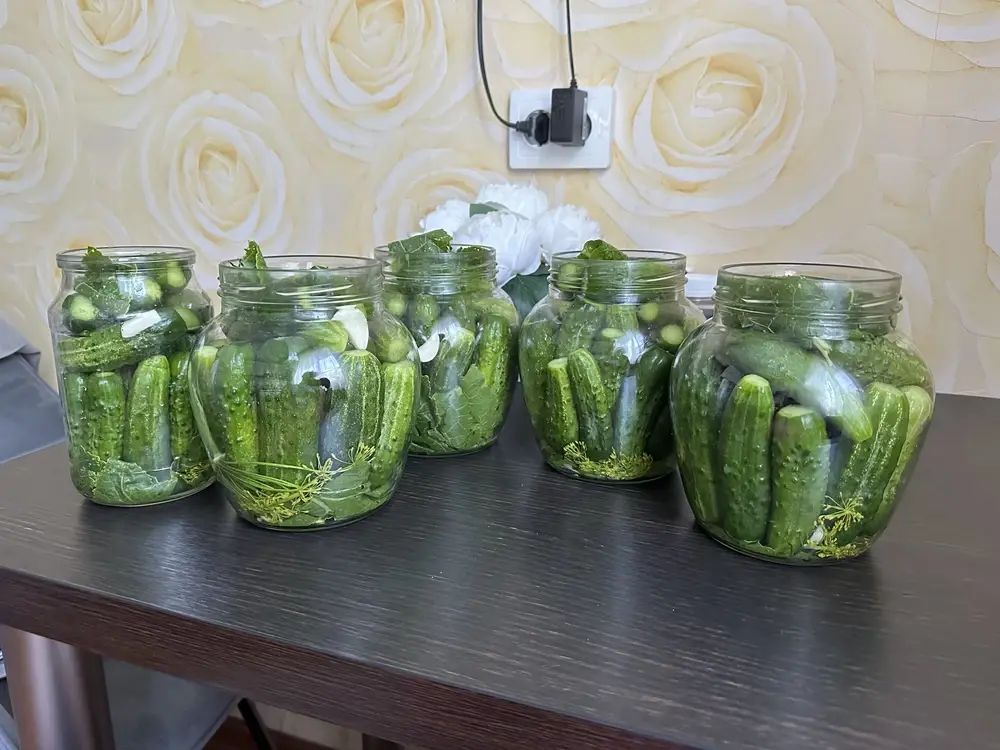 ��� ������� ��������� ����� ��� ������������ �������: ������� � ������