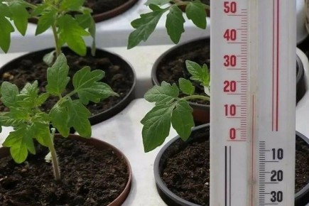 ��� �������� ����������� �������: ��� �������� �������