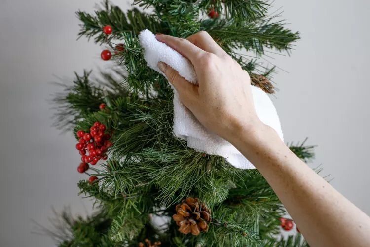 ��� ����������� ���� � ���������: ������ � ��������