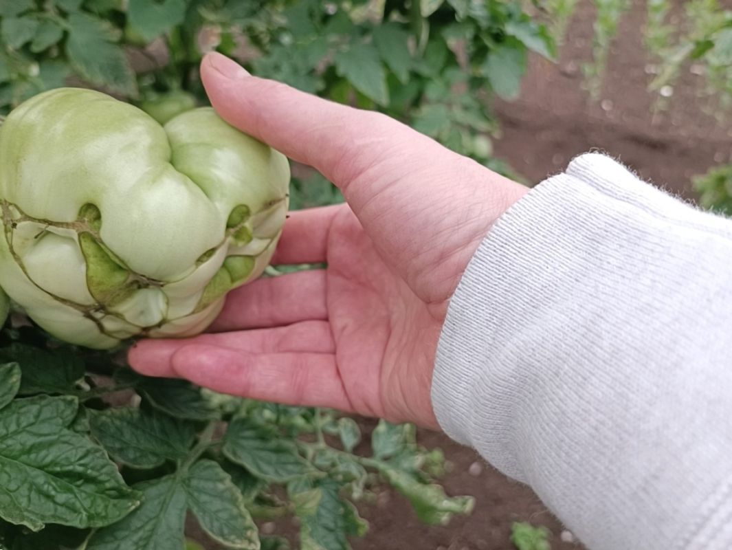 ��� ��������� ������� ����� �������: ������ �� �������������� ���������� ������