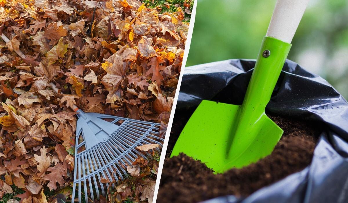 ��� ������� ������� ���������� ������� ������ � ����������� ��������� �� ��� ������