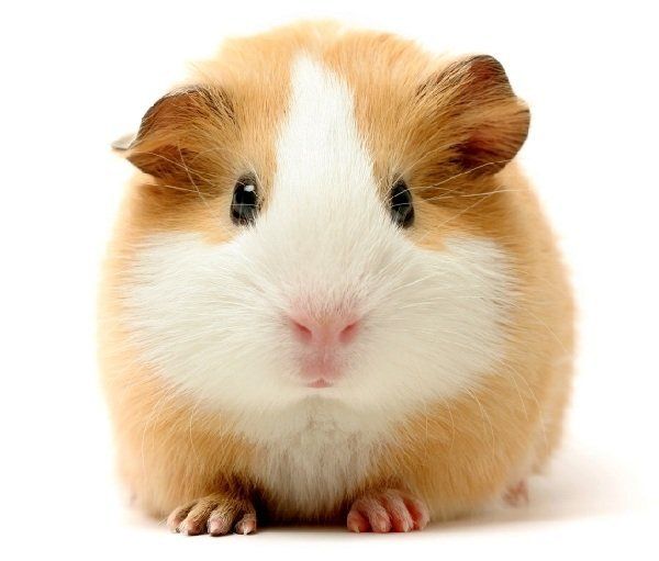 ��� ������� ����� ������� ������� � �������� ��� ������ �������