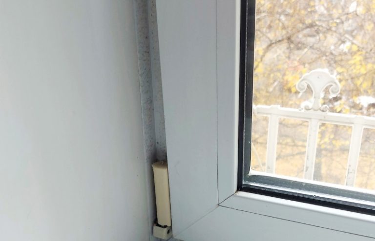 Плесень в доме: невидимый враг, угрожающий вашему здоровью