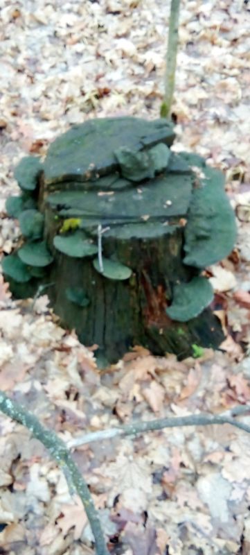 ��������� �����: �������� ������� "������� �����������"