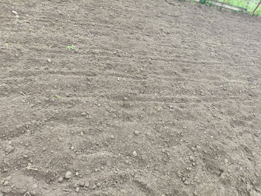 �������: ������� ������ �������� ������ �������