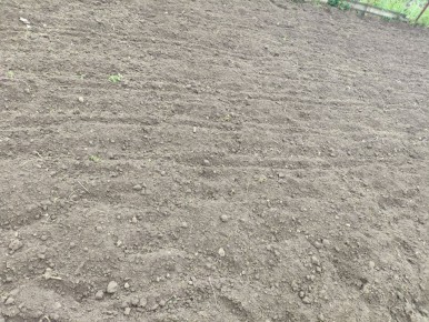 �������: ������� ������ �������� ������ �������