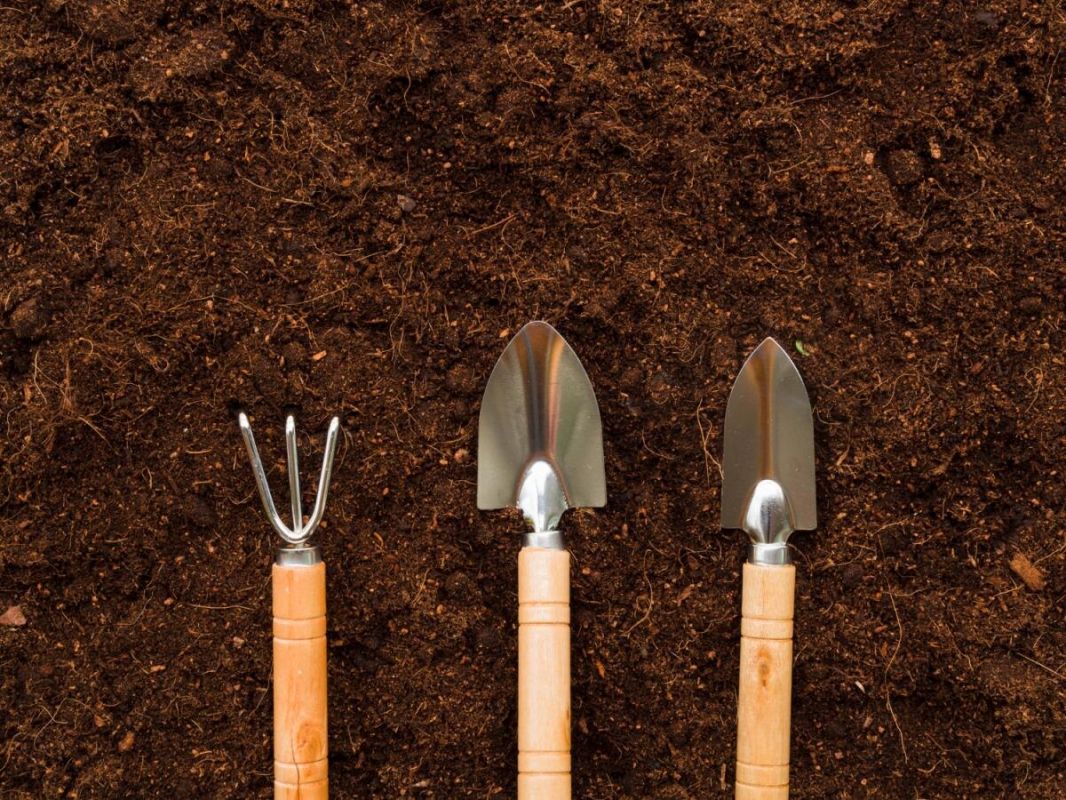 ��� ������� ��������� ��������: ������� ������ ��������� � ������