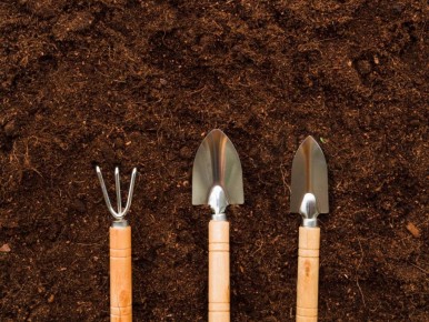 Как вернуть растениям здоровье: секреты выбора удобрений с калием