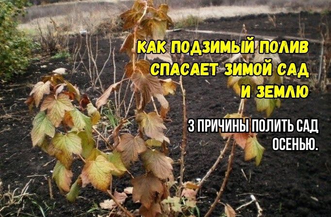 �������� � ������ ������������: ��� ������������� ����� ������� ��� ��� �� �������