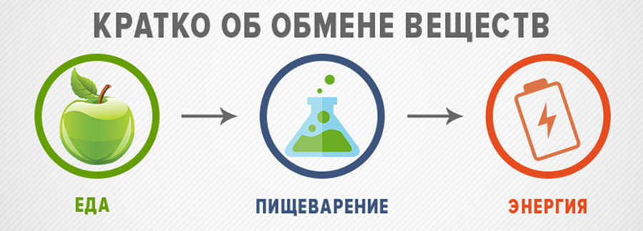 Почему после еды хочется спать: разгадываем тайну усталости