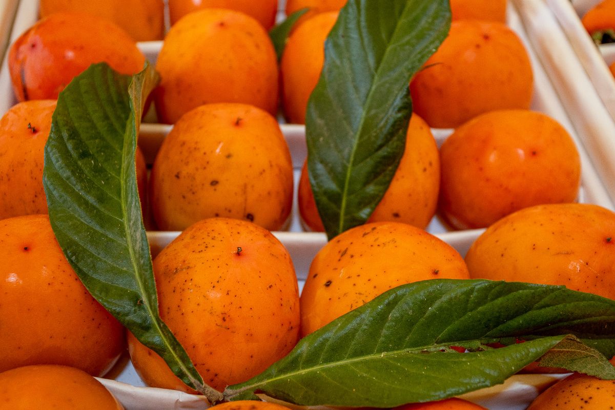 ����� ����� � ������: ��������� ����� ��� �� ��������