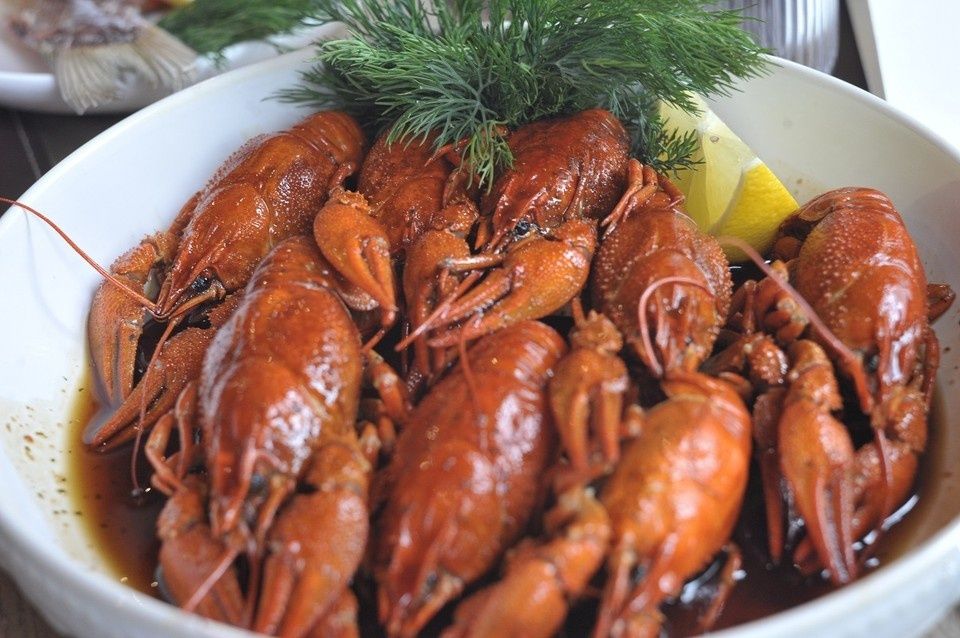 ������ ����� ����� ������ ������: ������ ��������