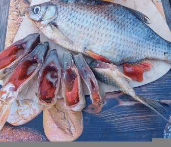 ������ �� �������� ����: ��� �������� ���������� �����