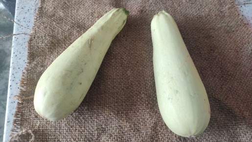 ���������� ������ � ��������: ������������ ���������