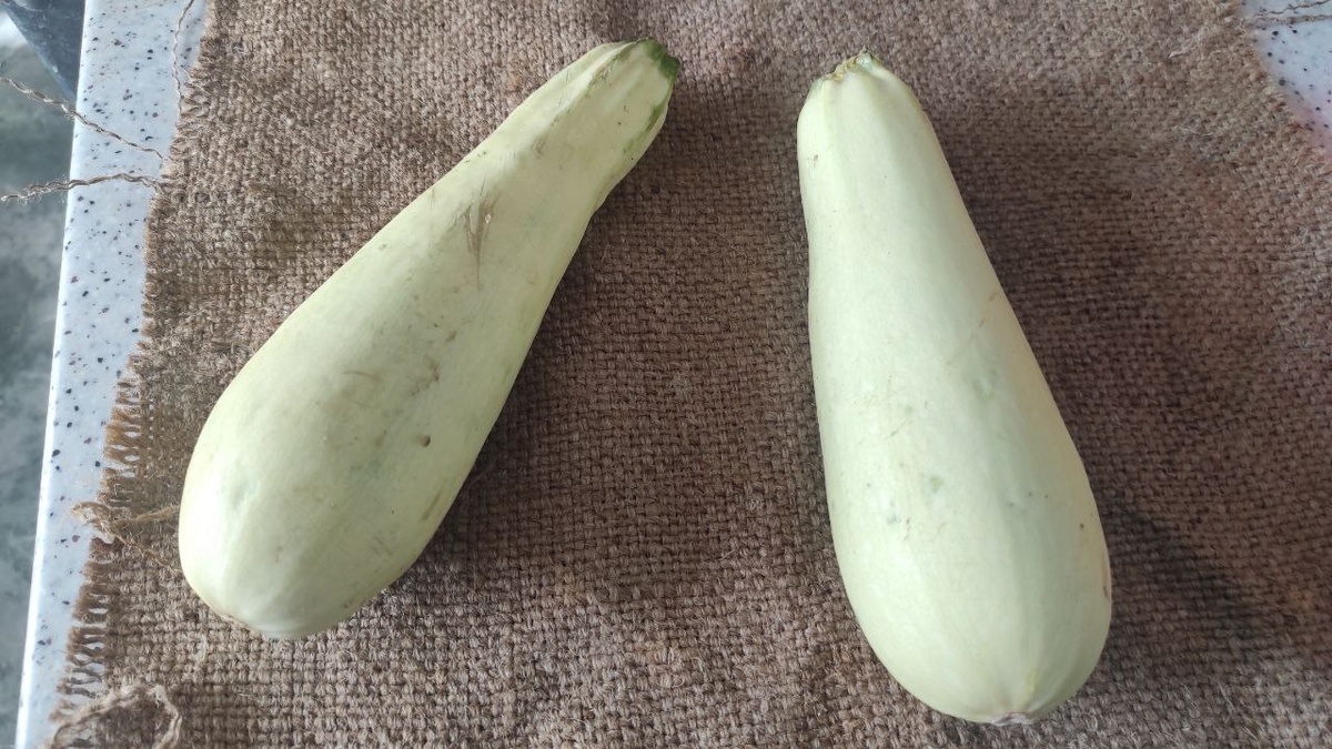 Шоколадный брауни с кабачком: удивительное сочетание