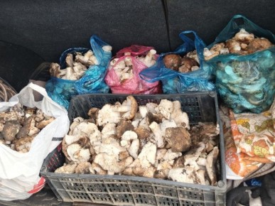 ������� �������� �������� �������� ������ ��������� � ����� ������