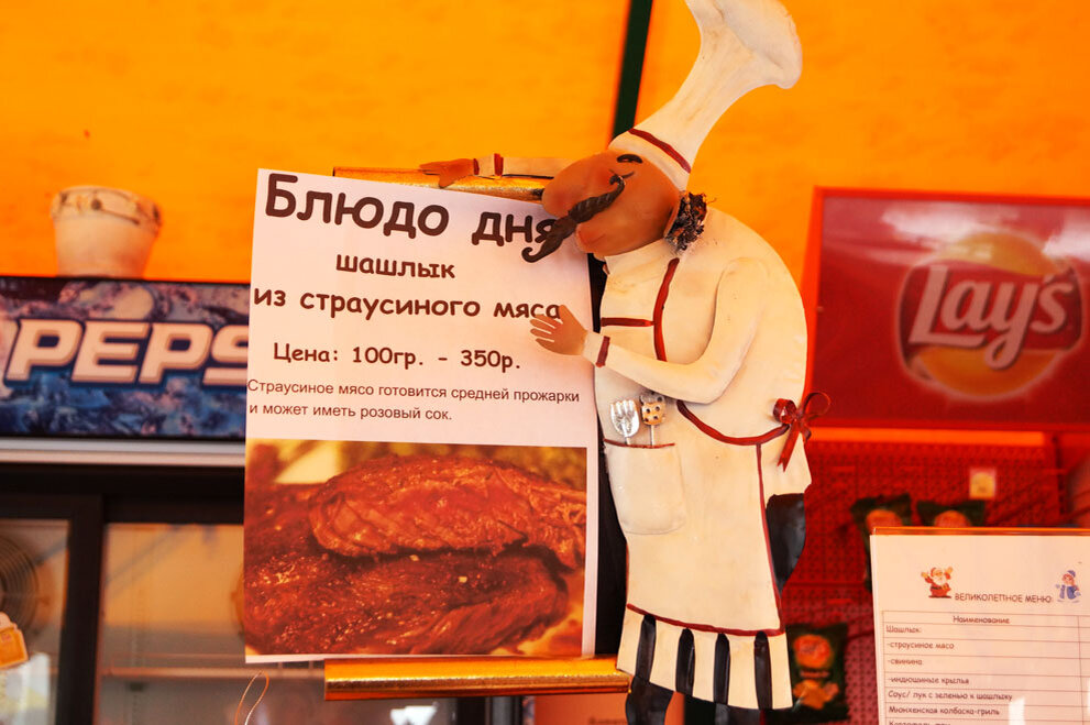 Страусы в Башкирии: новая страсть местных фермеров