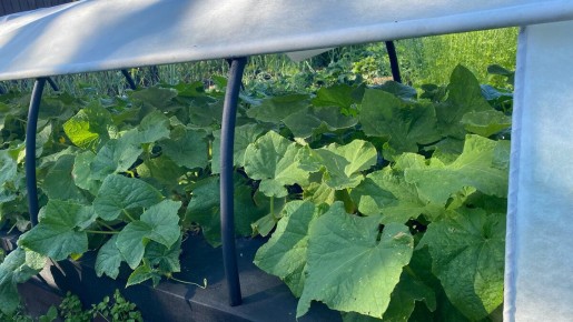 �����-������� ������: ������ ��������� ��������� �� ����