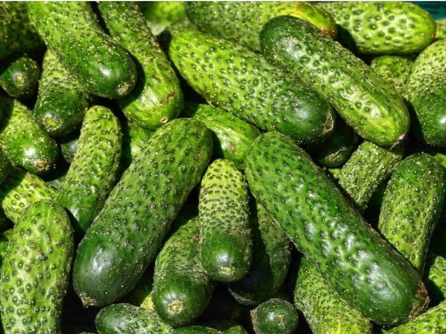 Секреты идеальных огурцов на зиму: хитрости, которые стоит знать