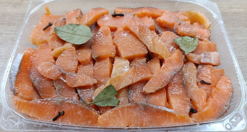 ������ �������� ������ ���� ������ ���������� ����� ������ �����