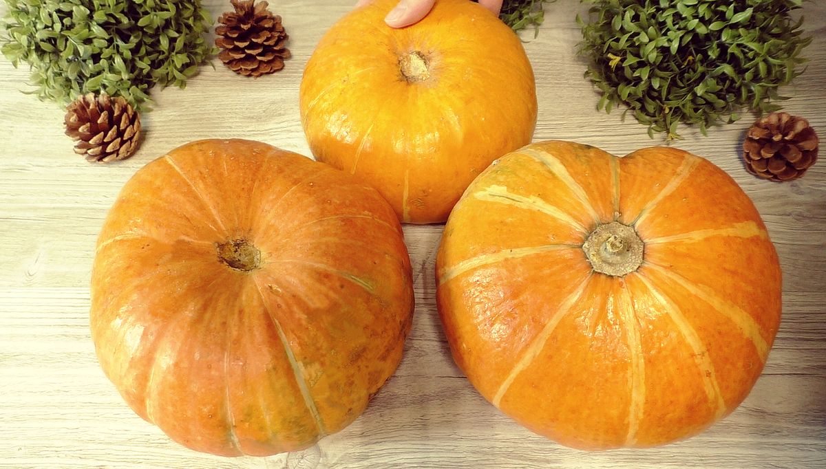 Топ находок на Wildberries: полезные покупки и вкусный рецепт из тыквы