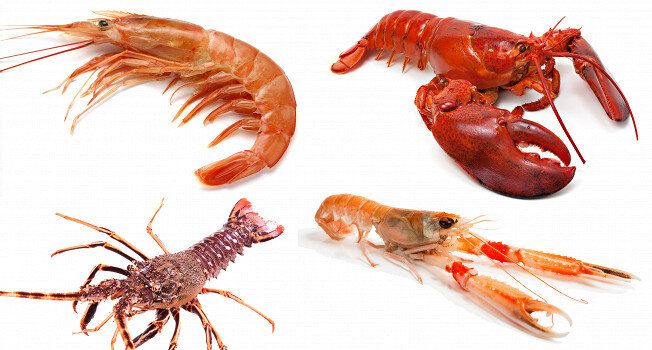 ������� �������������: ��� ��������� ��������, �������� � �� �������