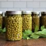 Консервированный горох: питательный помощник на вашей кухне