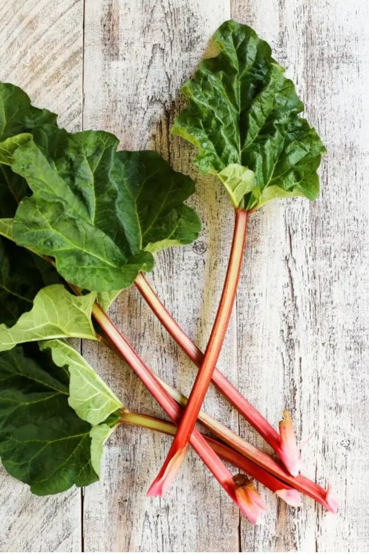 Открываем мир ревеня: вкусные рецепты варенья и салата