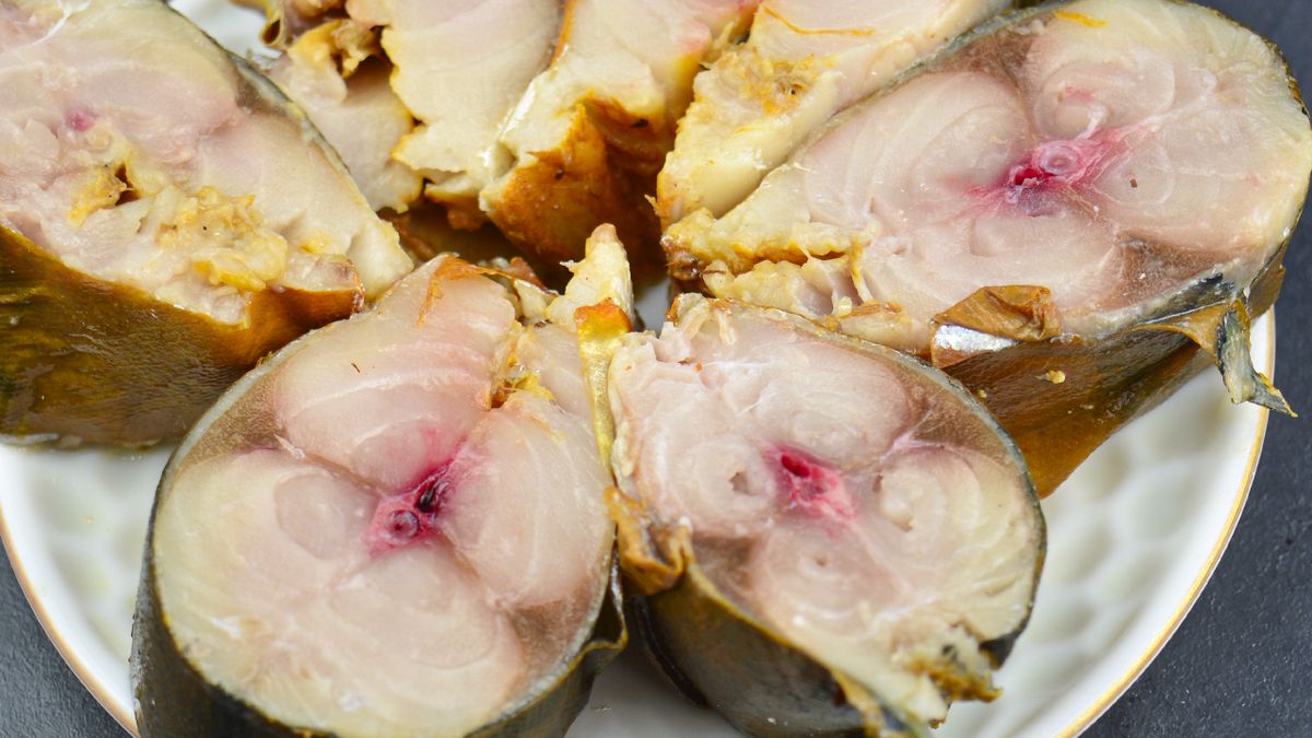 ������ ����������� ��������: ��������� ����� � ���������