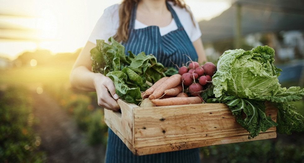 ������ ���������� ����: ��� ����������� � ������ ������