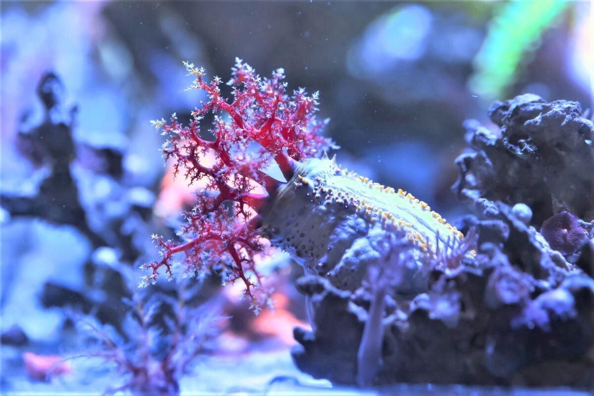 ������������ ������� ������ ������� � ���������� �����������