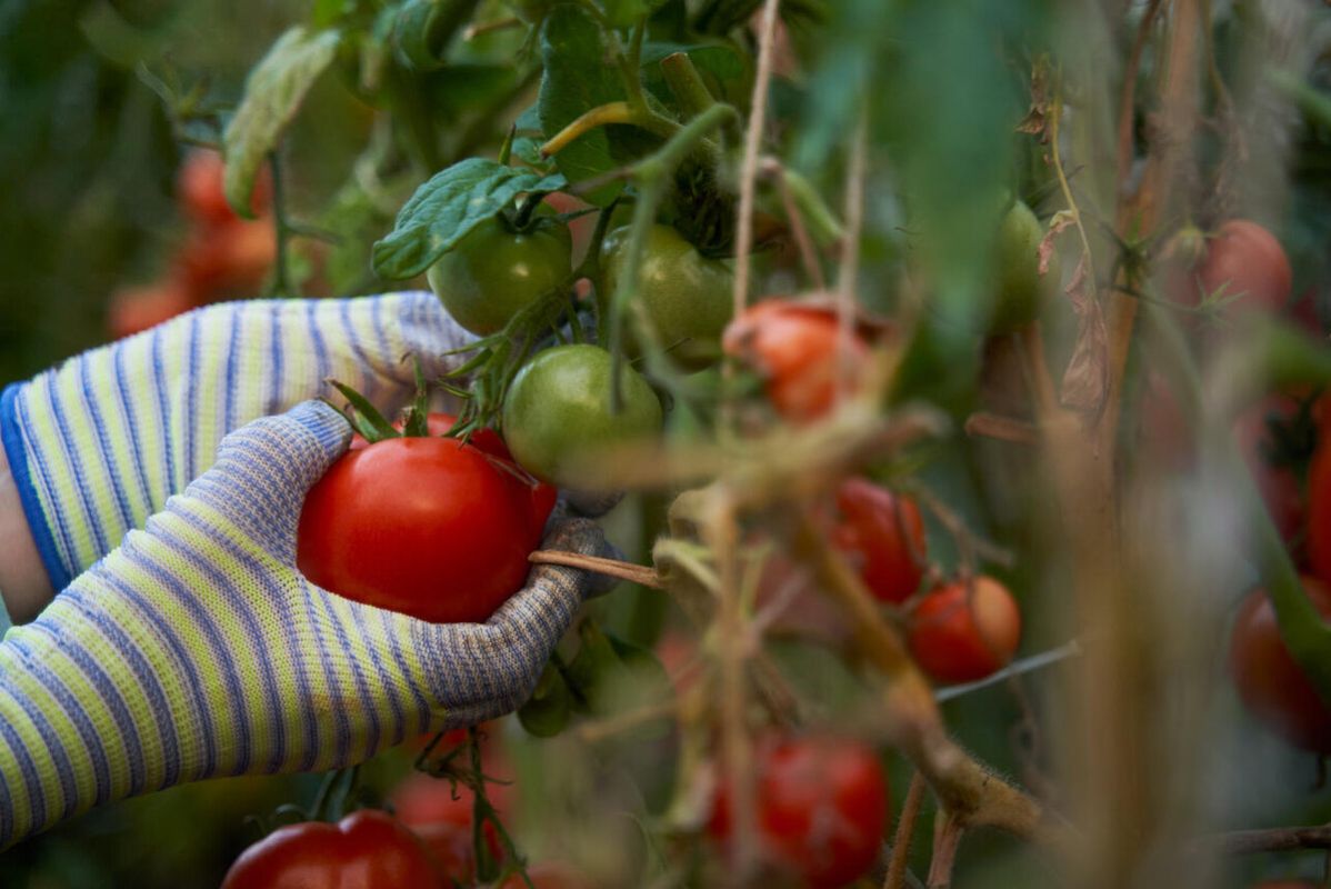 ��� ��������� ������� ������ ��� �������� ������