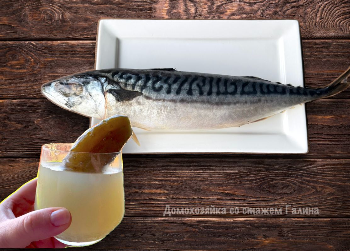 ��������� ������ ������������� ����: ��� ������� ��������� ������?