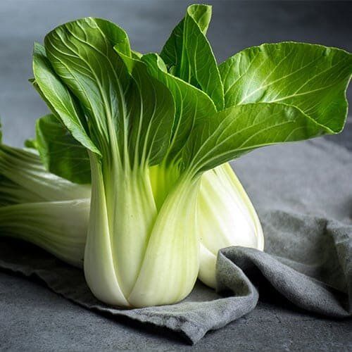 ���-���: ������� ������������� ����������� ����� � �����