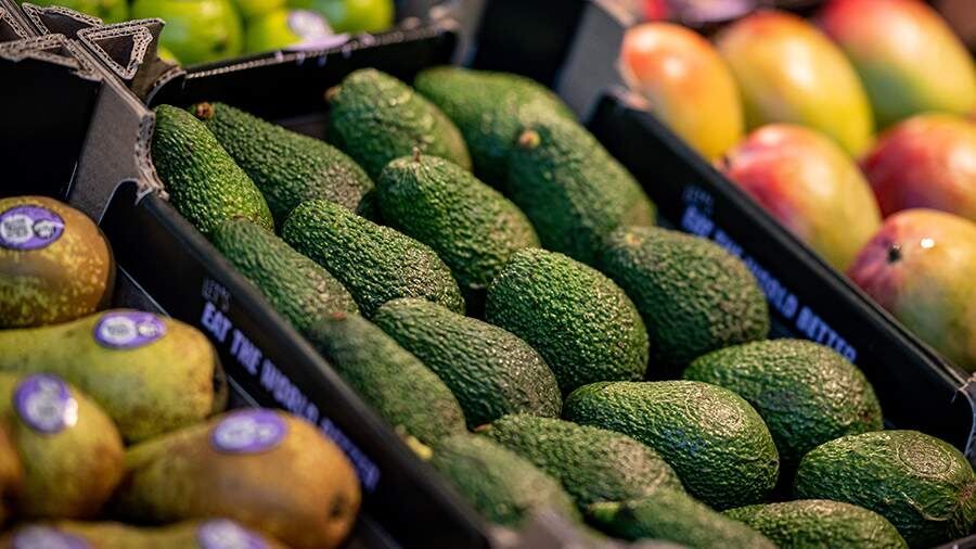 ��� ��������� ������� �������: ������� �������� � ��������