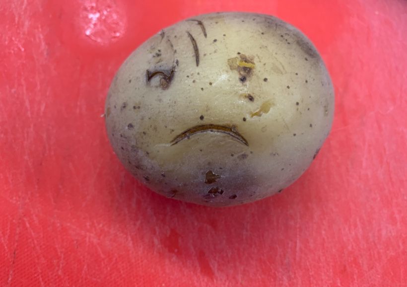 ������ ��������� ������ ��� ������: ��� �������� �������������