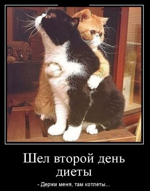 ����� ���� � ������ �� ������: ��� ����-����� �������� ������� �����