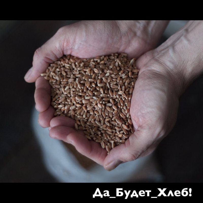 ��������� ��������� ����