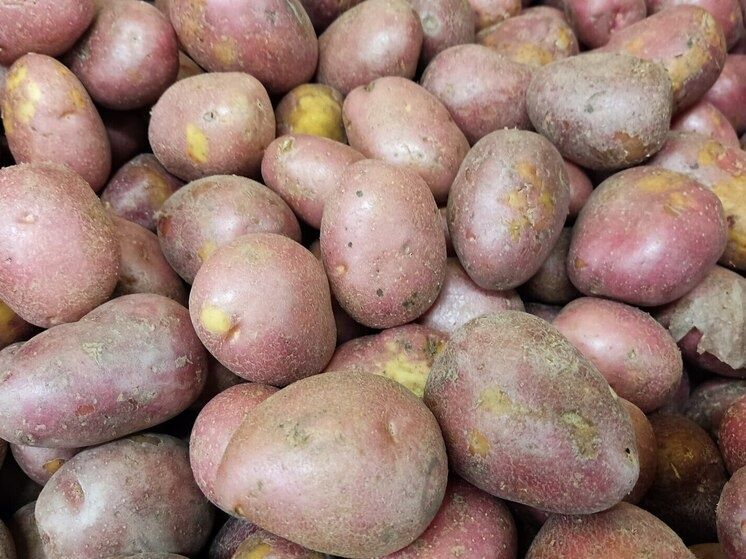 �������� �� ��������: �������� ����� ������� �������� ��� �������